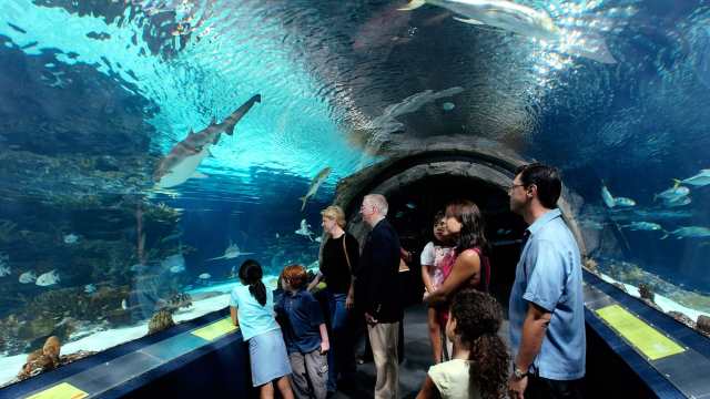 The Adventure Aquarium New Jersey
